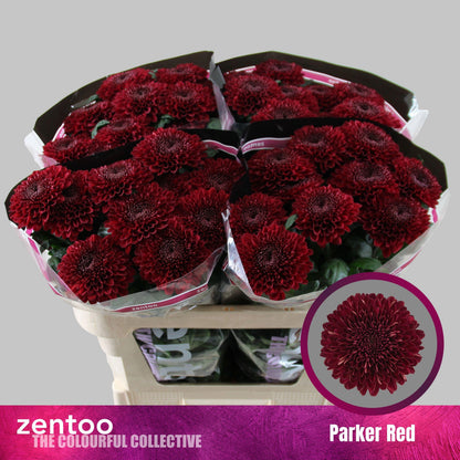 FeedSync:wholesale:3c32af410924e509a0220071e34a1a4cf913e008