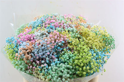 FeedSync:wholesale:0ee7287ca970fe2f6ba2910b2233deefe3b9db14