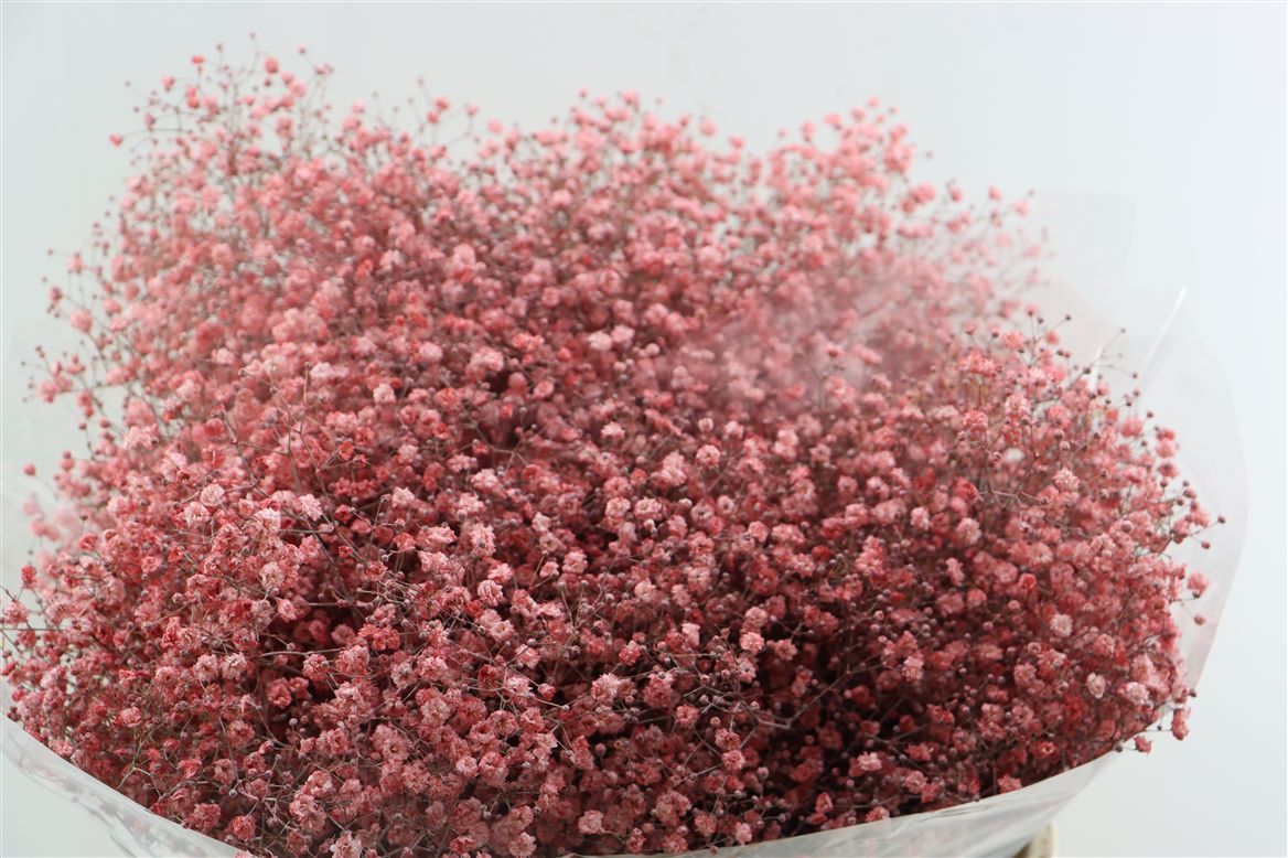 FeedSync:wholesale:f7896db97a43cbbb984d0eb035a4ff92e128267f