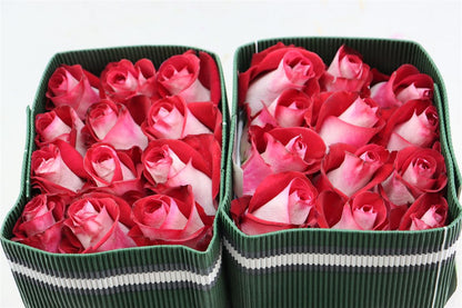 FeedSync:wholesale:85f671524d746dd34d54d34b059e87e384f57100