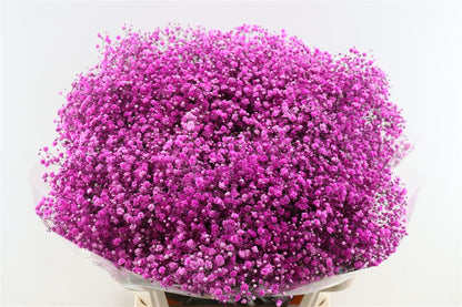 FeedSync:wholesale:088ac68b00f5ca8562352e82b491065cadb16068