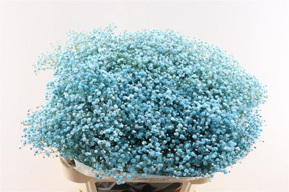 FeedSync:wholesale:6f736d948fe156f2d44b746345ab3b67752cdc87