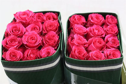 FeedSync:wholesale:9c1d63bd84c78f3f2461cb3fe8b7e04e5d70f8d1