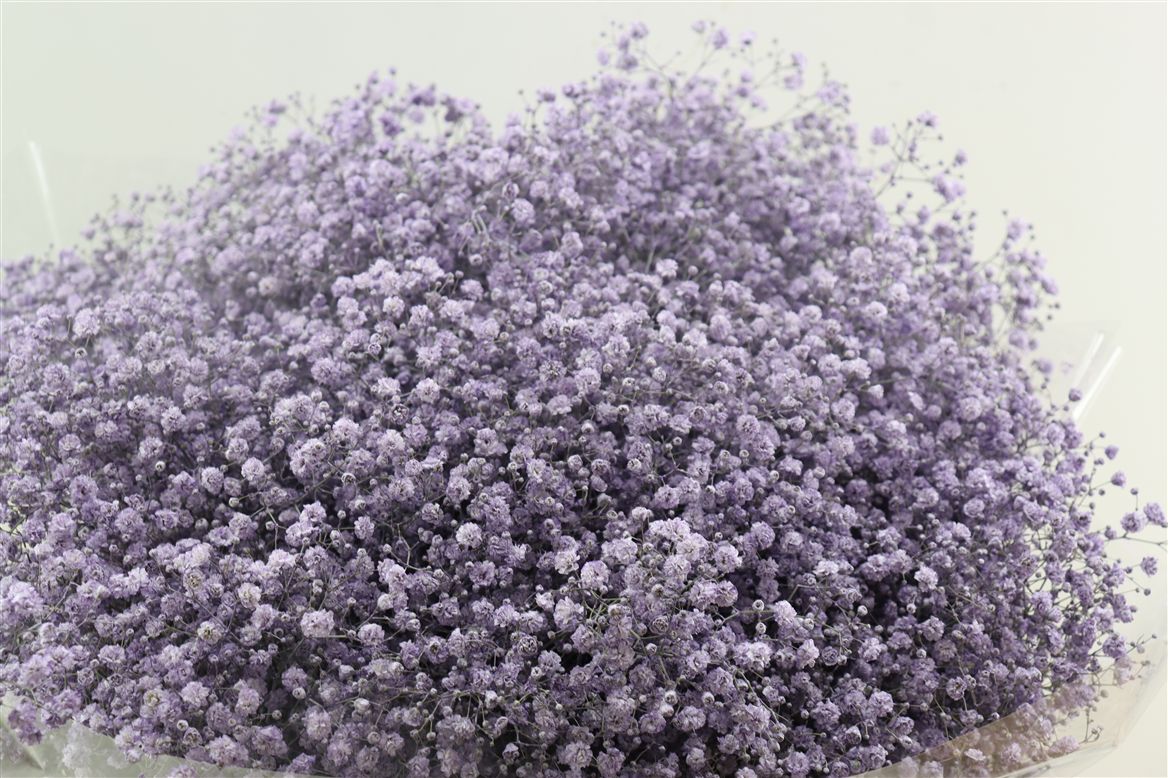 FeedSync:wholesale:601f5dee7f215f578e4629f58344f0f409e1590e