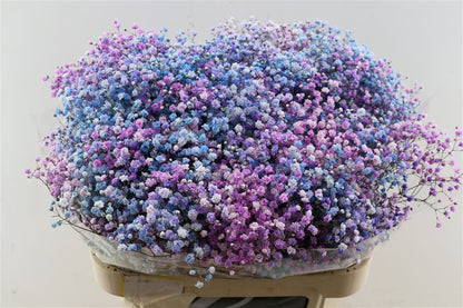 FeedSync:wholesale:84bcadb7217385efadb621743a3110ce7a5c33e5