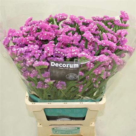FeedSync:wholesale:9a862b8a774cc0b1da474203006d7bbae3d80fbf