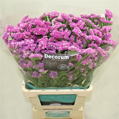FeedSync:wholesale:9a862b8a774cc0b1da474203006d7bbae3d80fbf