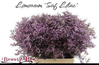 FeedSync:wholesale:0a71612c10b8eda334e0d802f2aa601430680520