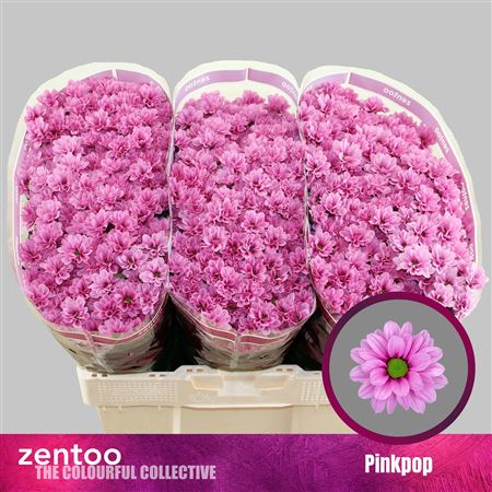 FeedSync:wholesale:5fd2fe6ed5031de0364e794b39edc1b494f83d20