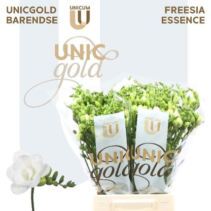 FeedSync:wholesale:cdea34dd5a7c9960bb274a0131174f5687d86ca4
