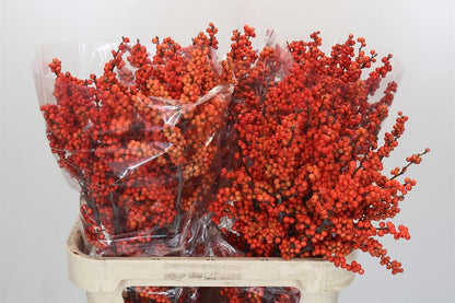 FeedSync:wholesale:b77f31eee0e05123787609922b7931797b88b744