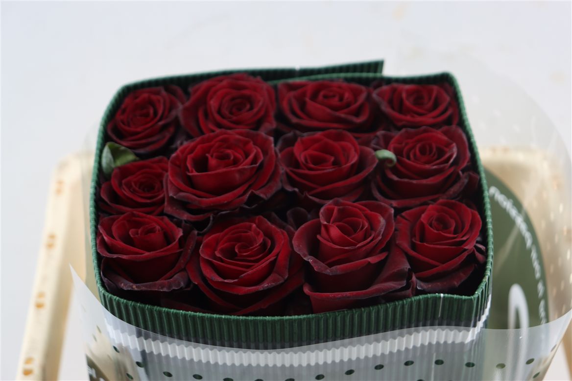 FeedSync:wholesale:8a0e4cae9d284f0e566b24273b1855624ac1942f