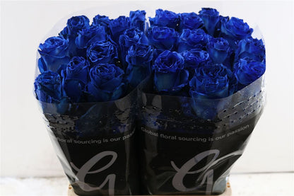 FeedSync:wholesale:cc9ae924ca8de6b49c2daae732940446e865e8b3