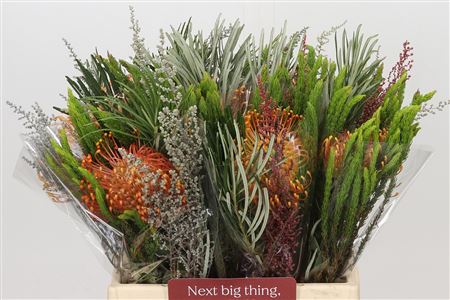 FeedSync:wholesale:3b9ec213fd31415ad66cbbe4a9374c594cfcbd99