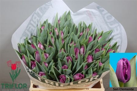 FeedSync:wholesale:70864b7f95bd0f06b586d14dc465715edc69f831