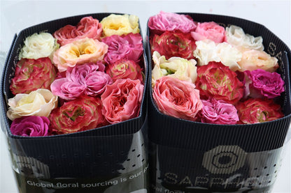 FeedSync:wholesale:bb770516ff83f7e7f3e54aa5e90501aad0fef51e