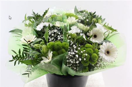FeedSync:wholesale:7cebcf15980be660dd6016b62bdd7bfa4e670477