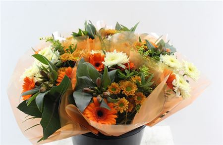 FeedSync:wholesale:7bd2a7905d3b50840286a85ccc176bf8db6b03f1