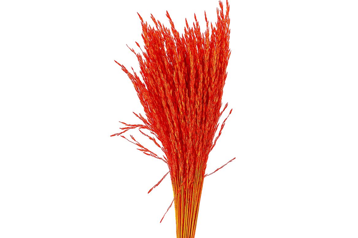 FeedSync:wholesale:398cda5034beaed4e84392a92598ff7892d342ab