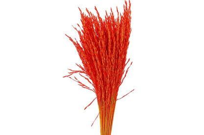 FeedSync:wholesale:398cda5034beaed4e84392a92598ff7892d342ab