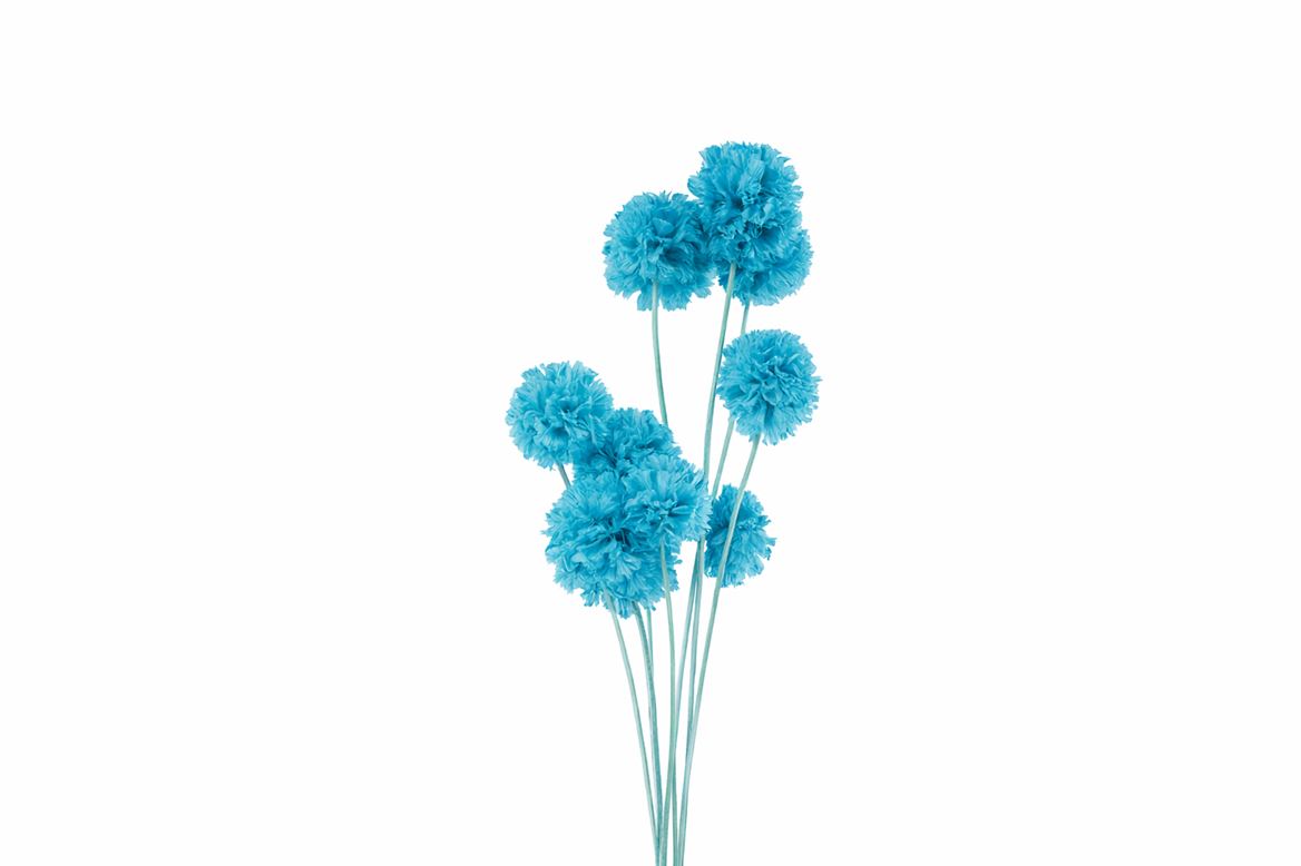 FeedSync:wholesale:be98fcd4f7ddec3088ac3dc11066e60ae387bb9d