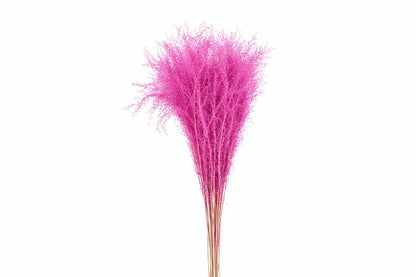 FeedSync:wholesale:e0b26ef59e6183e47b7ce137fa663f13eed38be2