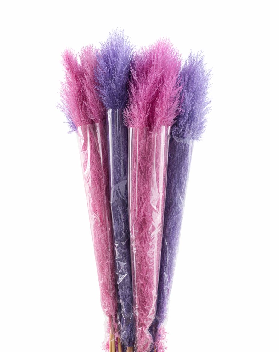 FeedSync:wholesale:524cba10ab24a68a3ec5f8793e2dfb2068a21a0d