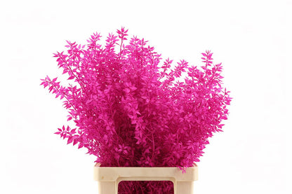 FeedSync:wholesale:a5ffe94bb0c3b0aa937d007a34510dc787a03e86