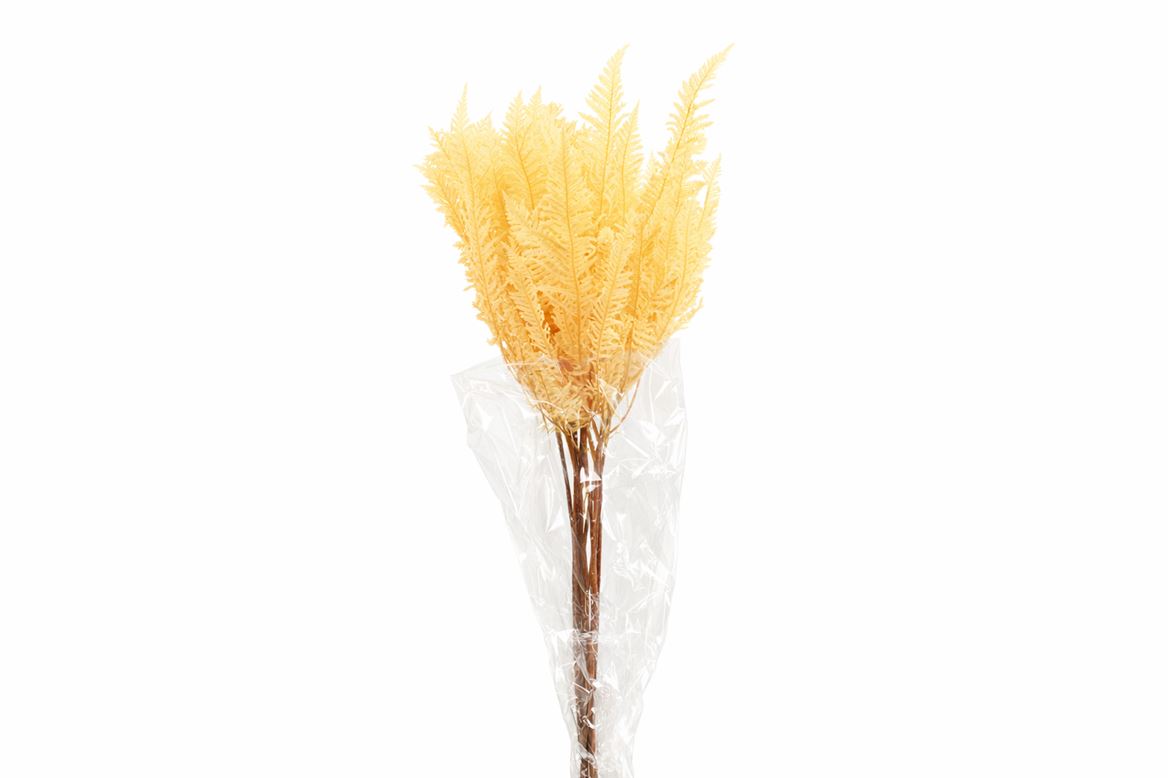 FeedSync:wholesale:852e4adcb8871dc8faaff86a5274b4f694aded7b