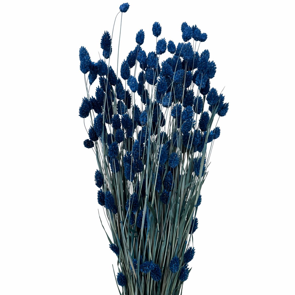 FeedSync:wholesale:44a609ea9a5802b38fb3d7967f30e7f9a3aaa2ec