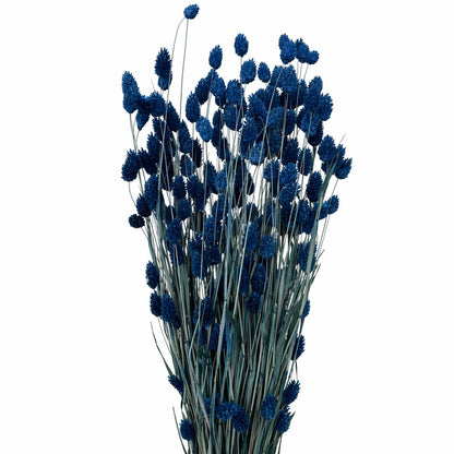 FeedSync:wholesale:44a609ea9a5802b38fb3d7967f30e7f9a3aaa2ec