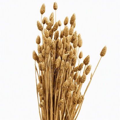 FeedSync:wholesale:1597e0325107bf68d2cd2d13c6504c54664b4ba6