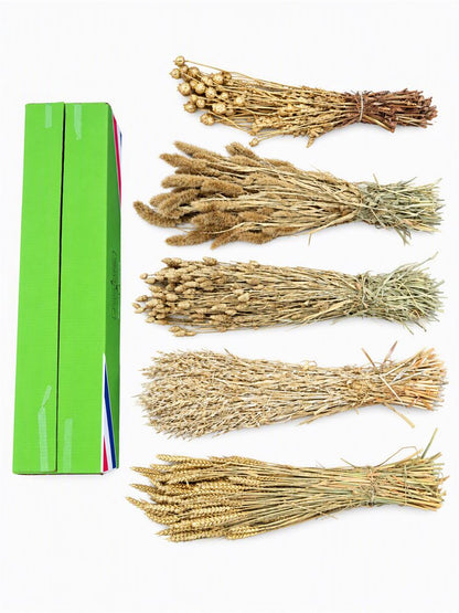 FeedSync:wholesale:7fba4fcf5df89dc48bcf3c7363f7de0d3e3f9ca9
