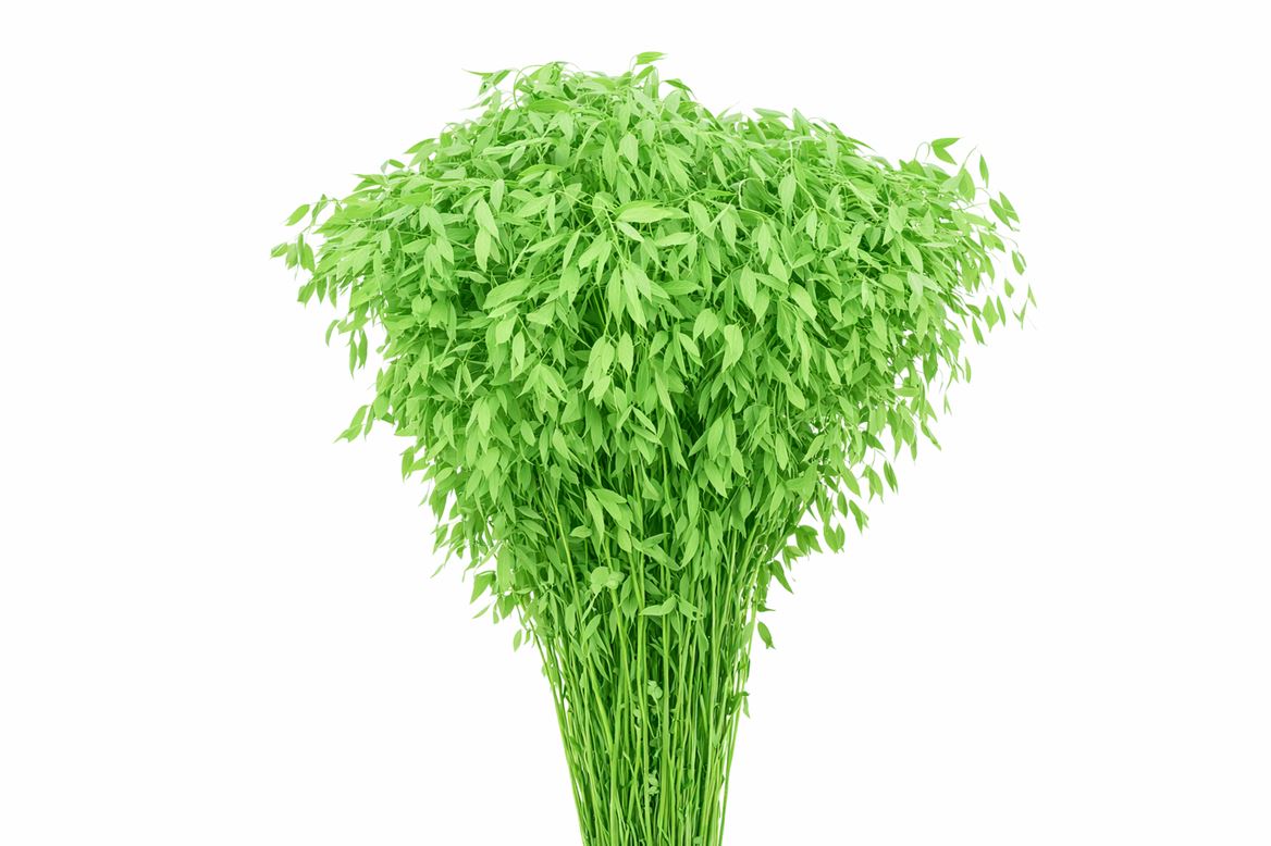 FeedSync:wholesale:2d16e9451bfe65597d14897750e672fc8f90246a