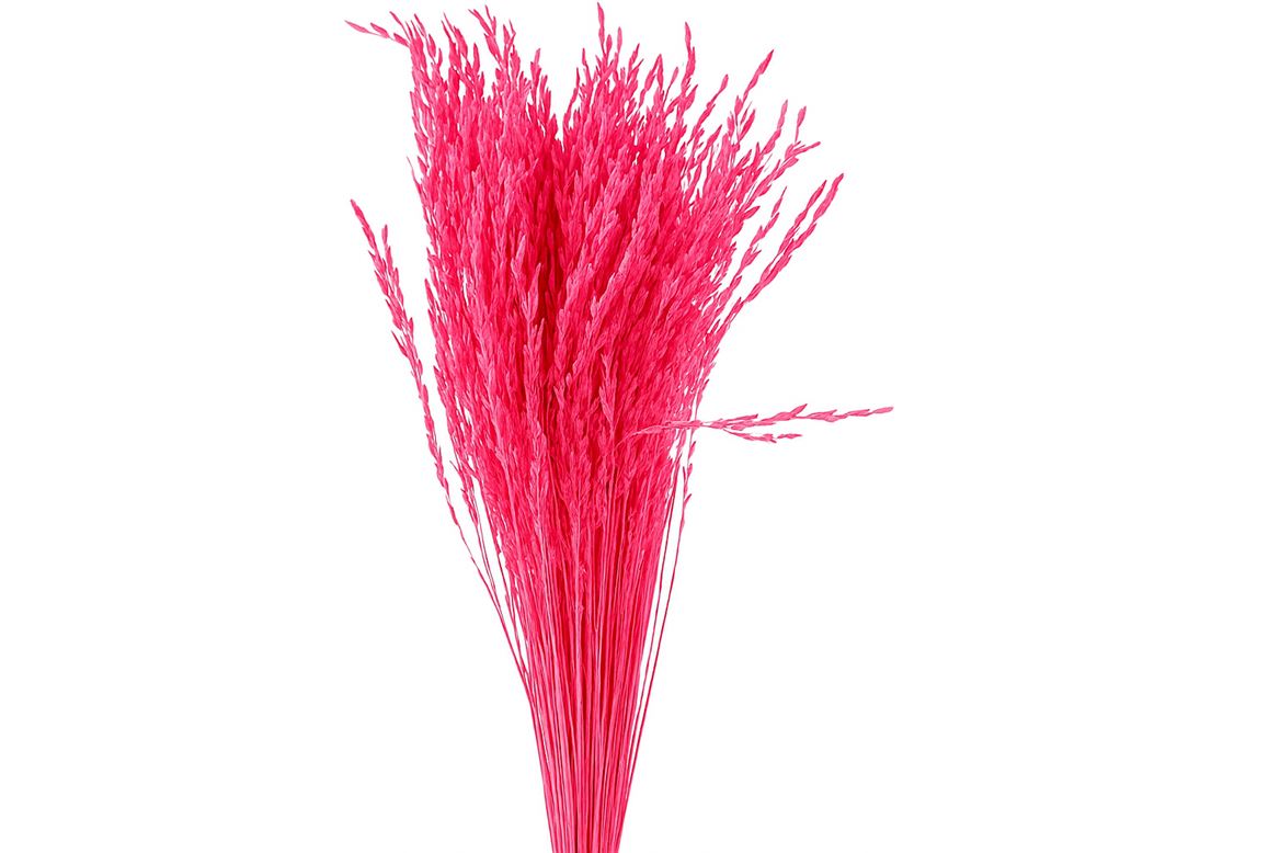 FeedSync:wholesale:0b7fd70312c1fadc99572d0df8136a0d83d2323d