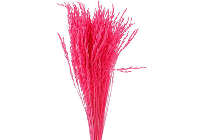 FeedSync:wholesale:0b7fd70312c1fadc99572d0df8136a0d83d2323d