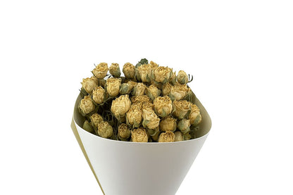 FeedSync:wholesale:29fa1bd19c0e2245440069e42882dbaeb38d429a