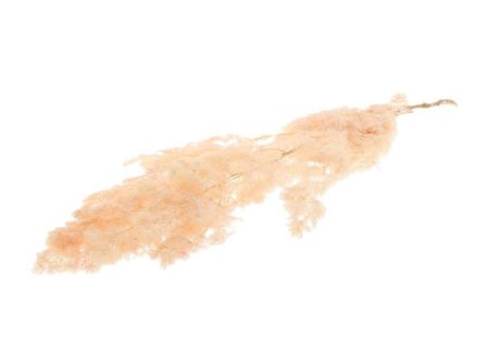 FeedSync:wholesale:9b761ff0f537ca8f74173d50c3e83a3e4c1fc692