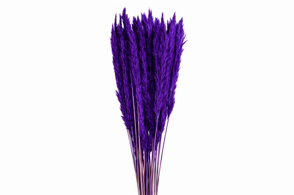 FeedSync:wholesale:1b0779da75d0fd3223c2bdc96df1be9469c9d22f