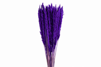 FeedSync:wholesale:1b0779da75d0fd3223c2bdc96df1be9469c9d22f