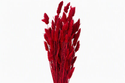 FeedSync:wholesale:a5e84f637116976f9c5c41abdc6362eba4f7f7b6