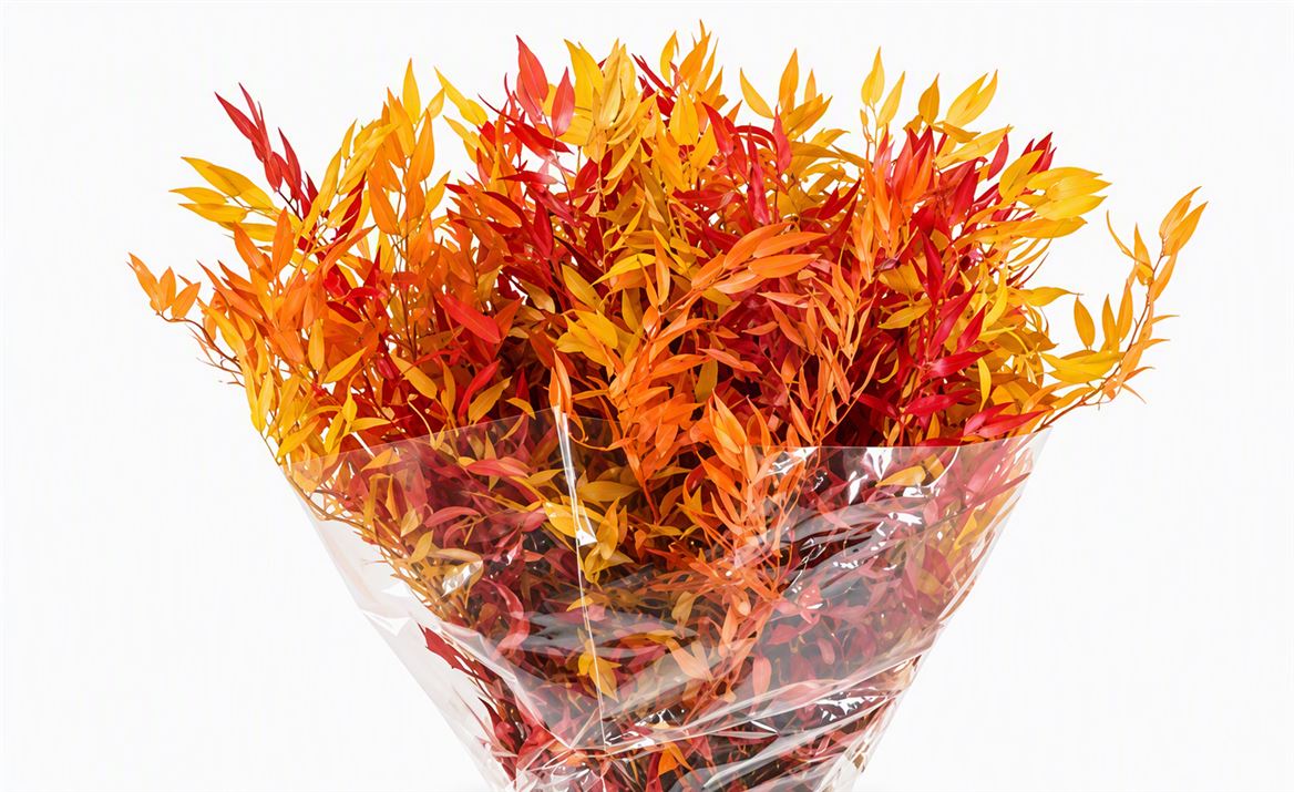 FeedSync:wholesale:b221adecadf4af83a5c3895515858a3f7d5503b8