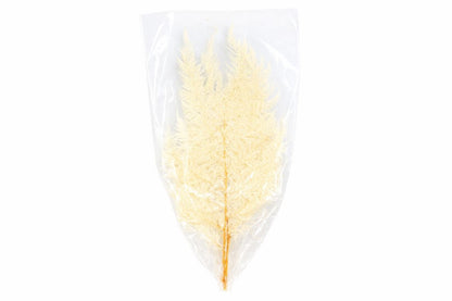 FeedSync:wholesale:c301ed06372c34c326dd94194eaa3fb5cfc2fd4c