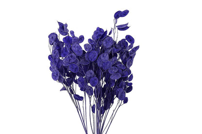 FeedSync:wholesale:c392e1285606f87136b90860f409da2bd65f0fef