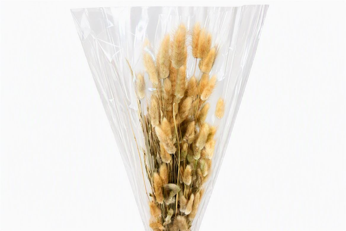 FeedSync:wholesale:8cf1019100a8437826e19a3c70a33ac6a4715acd
