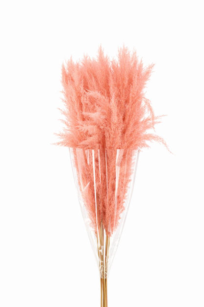 FeedSync:wholesale:f158af58af45e75da88c6f332ca500aece905e2e