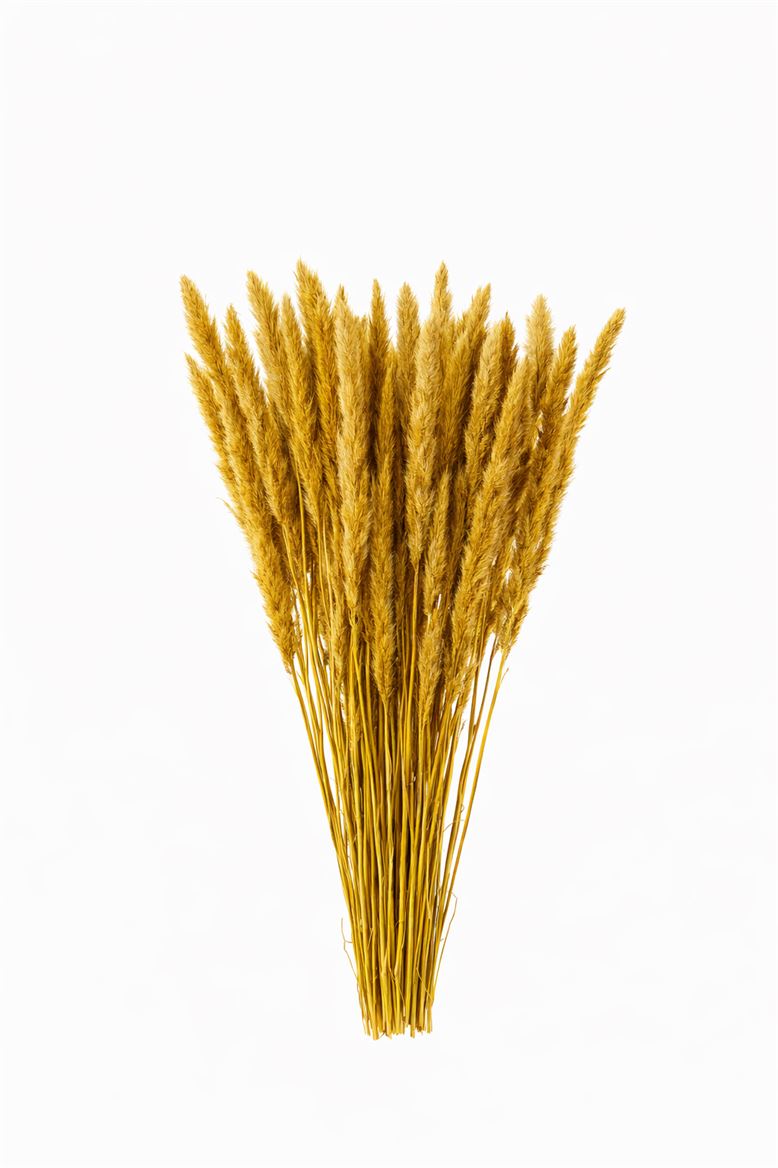 FeedSync:wholesale:4737612224d73f4bc62d62eaf67bcc99fef7e8e8
