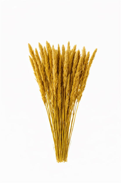 FeedSync:wholesale:4737612224d73f4bc62d62eaf67bcc99fef7e8e8