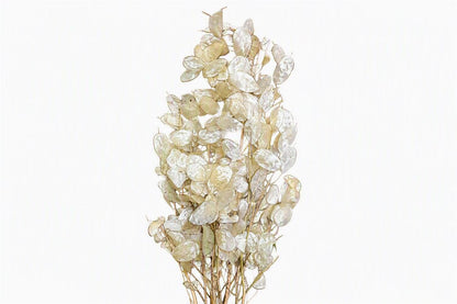 FeedSync:wholesale:2c8d08b0430c9b70aeba06f97c719a73273e5dec