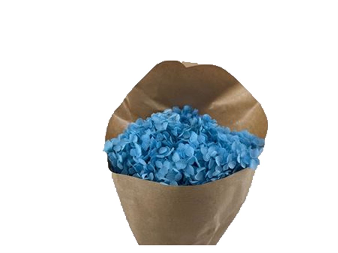 FeedSync:wholesale:3db1edc4b7c22e6ce0eead20bbf3889834e92a38